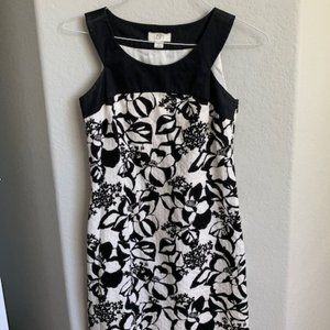 Ann Taylor Loft Cocktail Dress